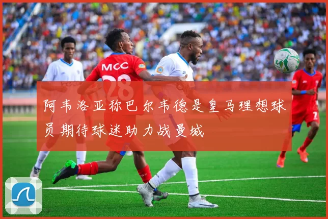 阿韦洛亚称巴尔韦德是皇马理想球员期待球迷助力战曼城